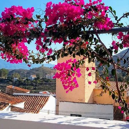 Casa Caballito De Mar Boutique B&B Бедар Экстерьер фото