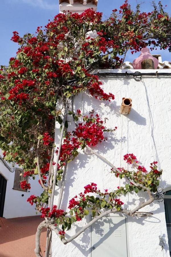 Casa Caballito De Mar Boutique B&B Бедар Экстерьер фото