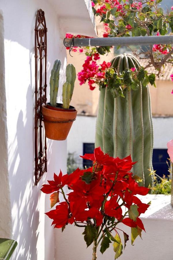 Casa Caballito De Mar Boutique B&B Бедар Экстерьер фото