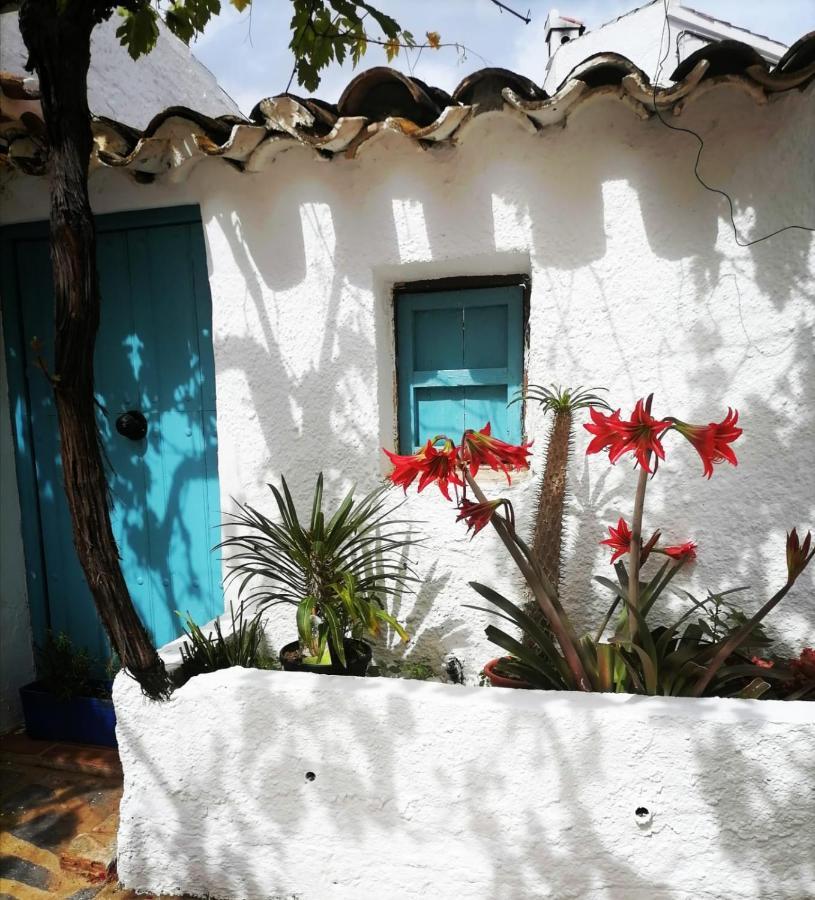 Casa Caballito De Mar Boutique B&B Бедар Экстерьер фото