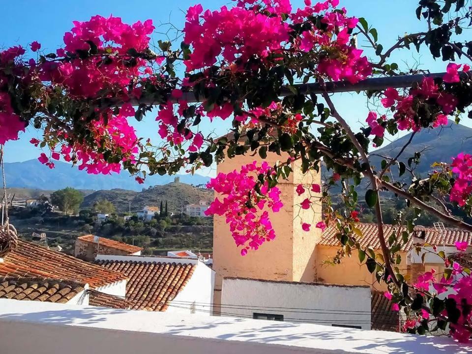 Casa Caballito De Mar Boutique B&B Бедар Экстерьер фото